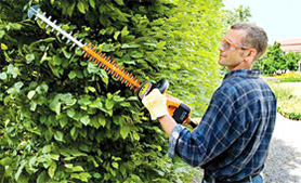 Stihl accu heggenscharen