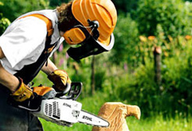 Stihl carvingzaag