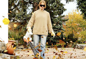 Stihl elektrische bladblazers
