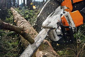 Stihl motorzaag